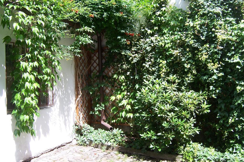 Near Lesser Town * Praha